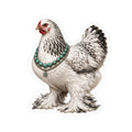 Feather-Footed Hen Sticker — Turquoise Jewelry Kiss-Cut Sticker